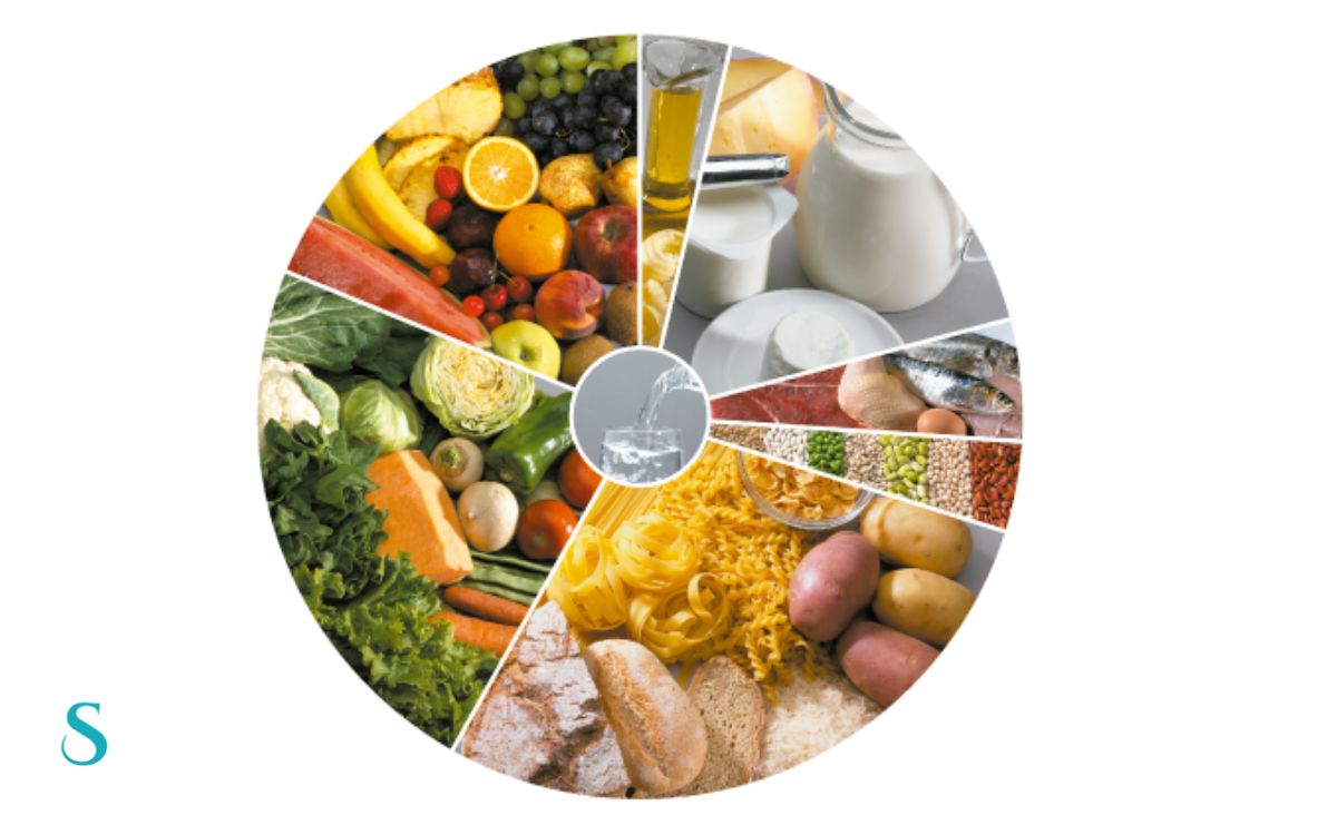 roda dos alimentos