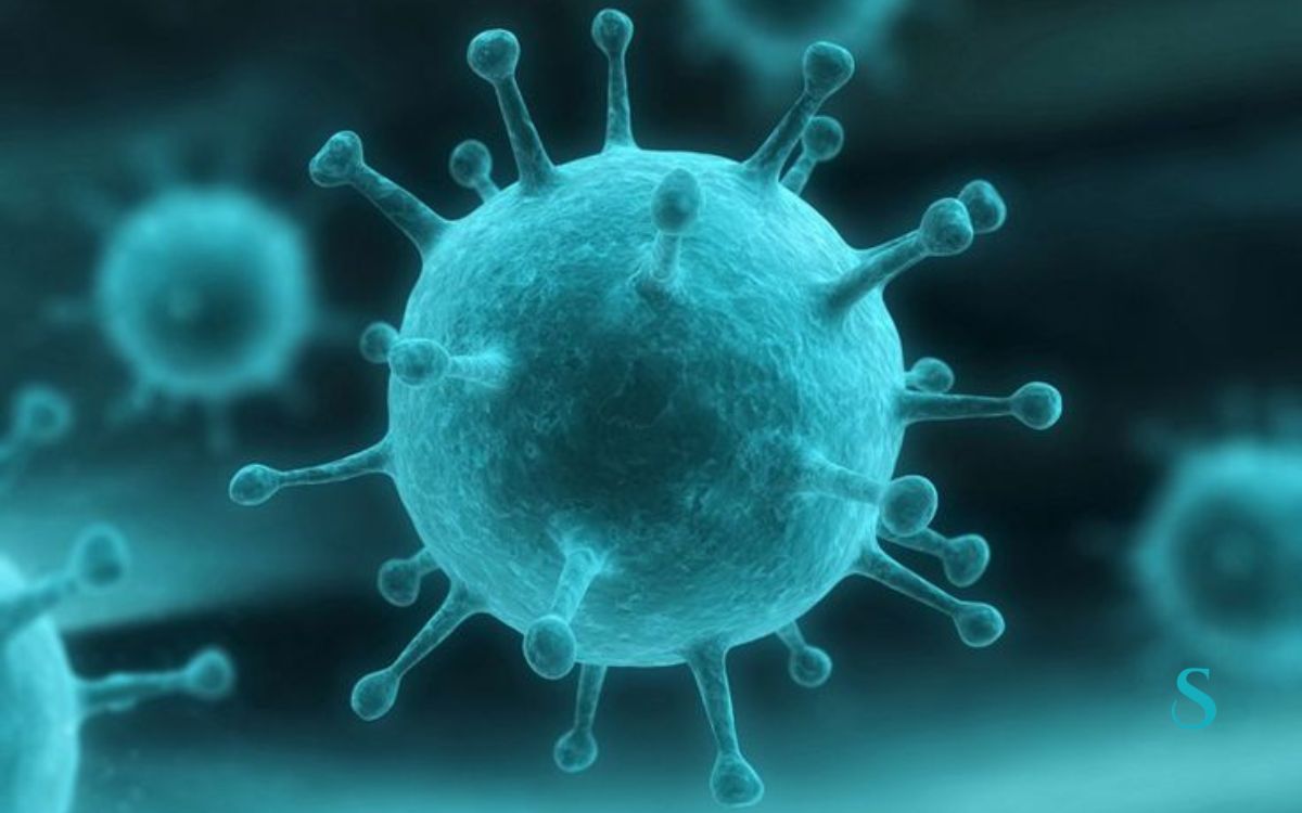 Esta imagem não tem texto alternativo. O nome do ficheiro é: virus